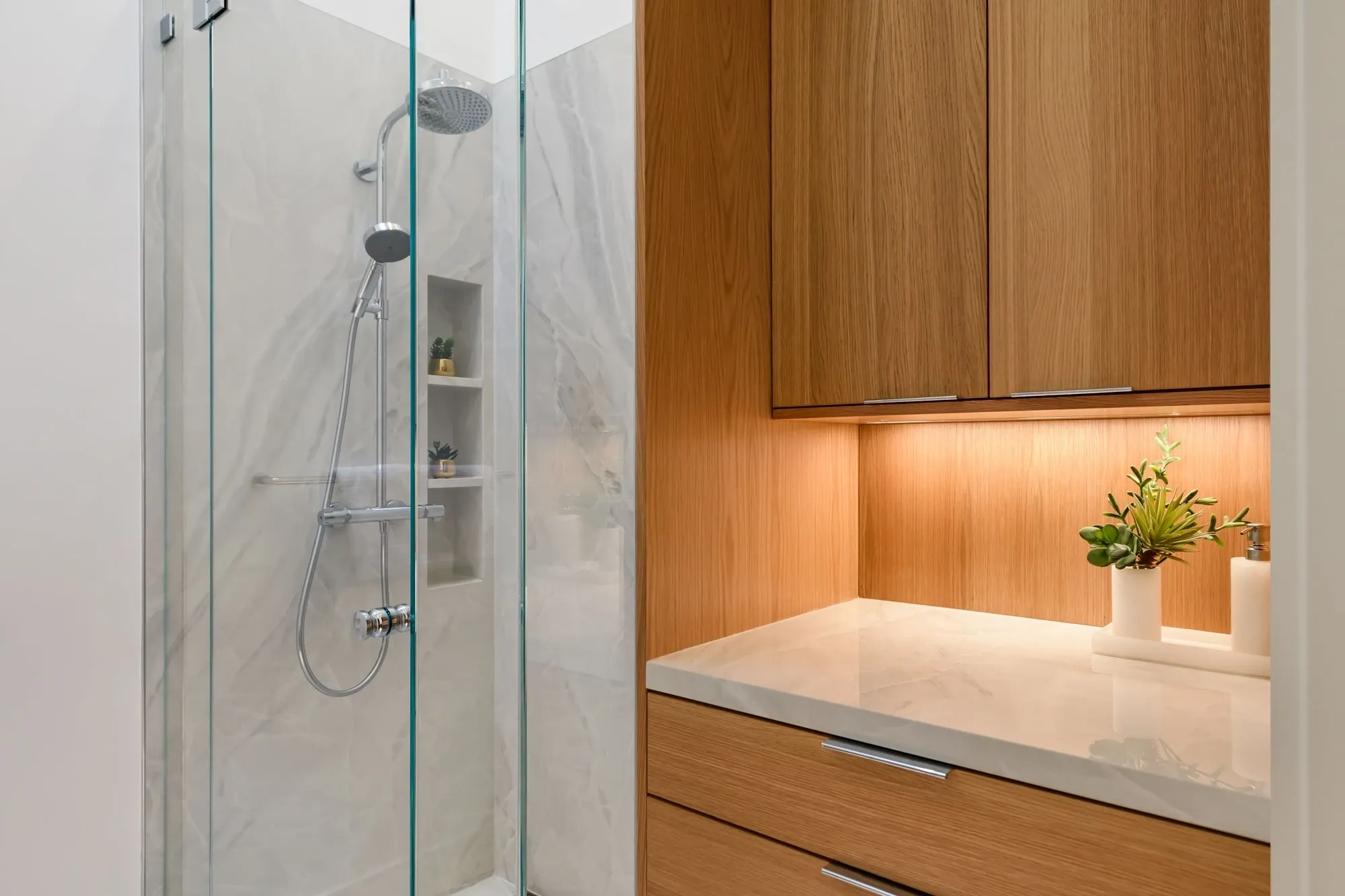 Glass shower and wooden vanity with plant